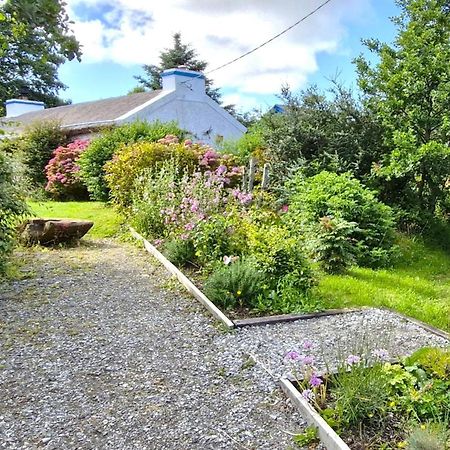 The Rockhouse - Cosy Stone Built Thatch Cottage Dungloe Exterior foto